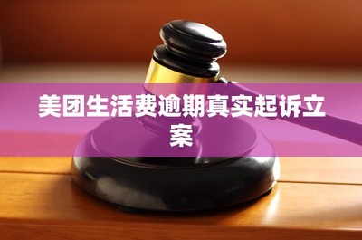 美團生活費逾期真實起訴立案 法律解析與應對